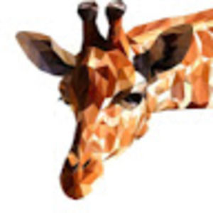 Meet your Posher, Macy